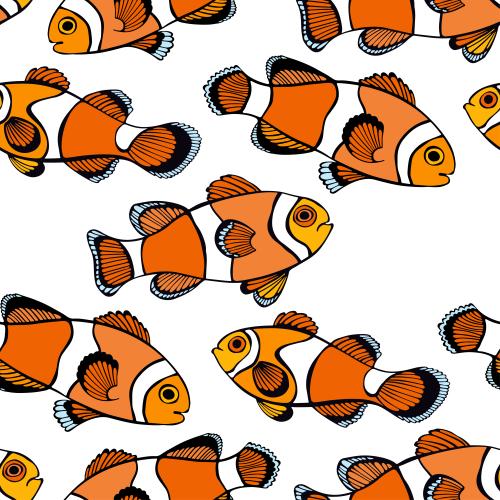 Vector image clown fish on whit