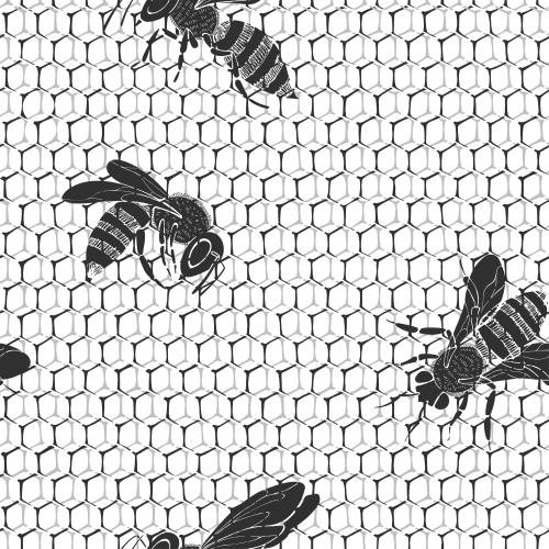 Honeycombs. Vector monochrome bees and honeycombs on white