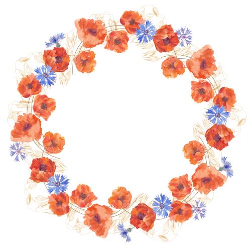 Cornflower. Vector watercolor poppies and violets contours of oat ears round frame-wreath on white