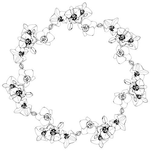Frame. Vector orchids round frame on white