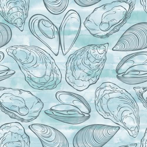 Mussel. Vector oysters and mussels contours on blue watercolor