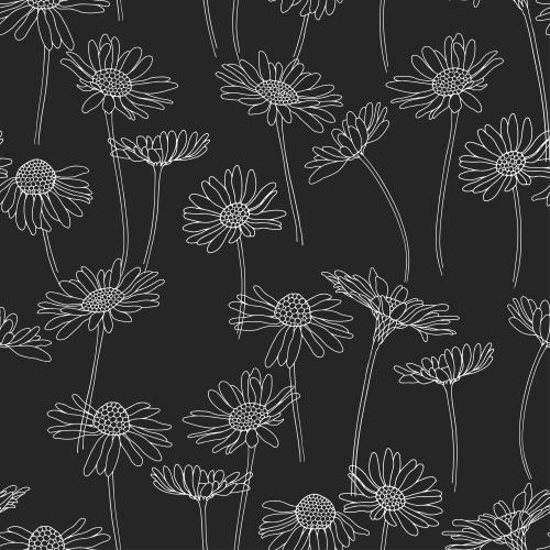 Chamomile. Vector Pattern daisies white outlines on black
