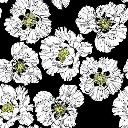 Vector image peonies, flowers on black