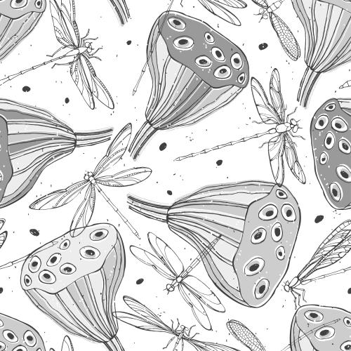Dragonfly. Vector lotus boxes nelumbo dragonflies on white