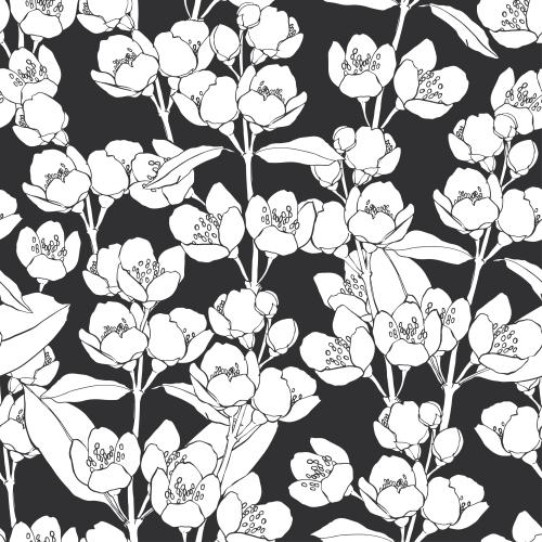 Jasmine. Vector blooming jasmine branches, white silhouettes on black