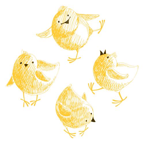 Chick. Vector four cute cartoon chicks