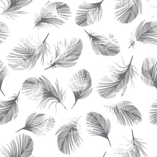 Feather. Vector white and gray feathers on white