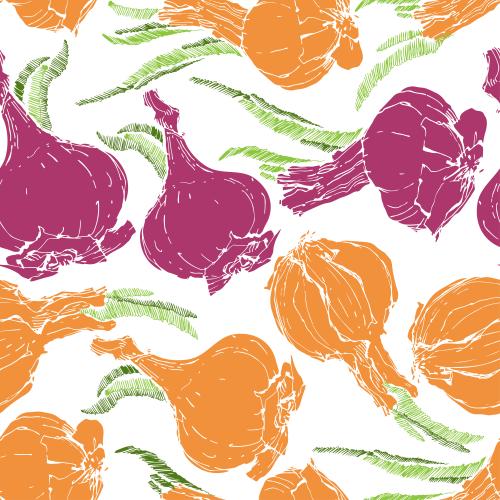 Onion. Vector heads of red and onion on white
