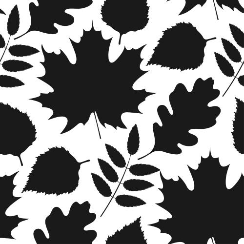 Vector image black silhouettes of leaves on white