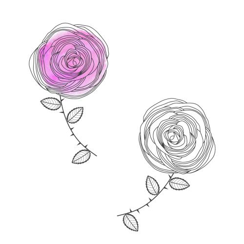 Rose. Vector stylized roses, two variants on white