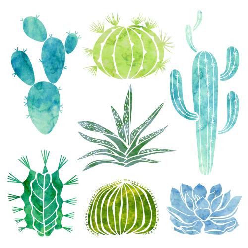 Cactus. Vector watercolor cacti and succulents