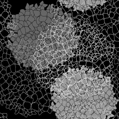 Hydrangea. Vector round hydrangea flower clusters silhouettes and contours of flowers on black