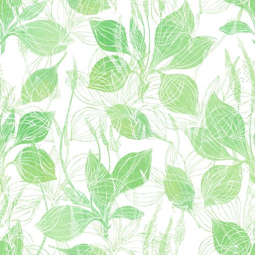 Raster image watercolor plantain, silhouettes and outlines on white
