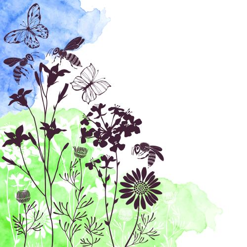 Chamomile. Vector butterflies bees meadow flowers blue and green watercolor fragments space for text silhouettes on white