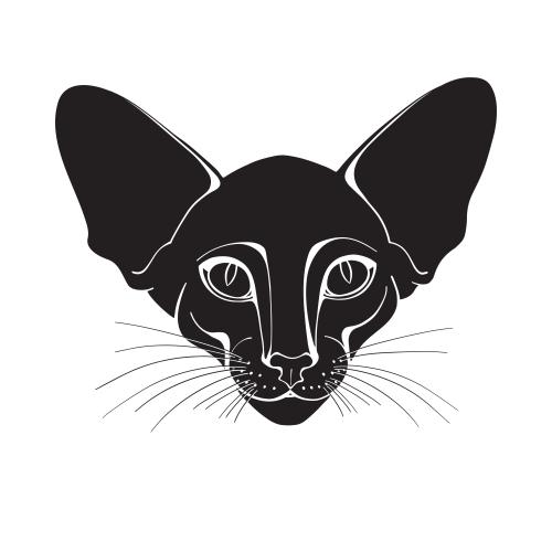 Oriental cat. Vector oriental cat silhouette of the face on white