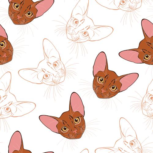 Vector Pattern abyssinian cats, colorful cute faces on white