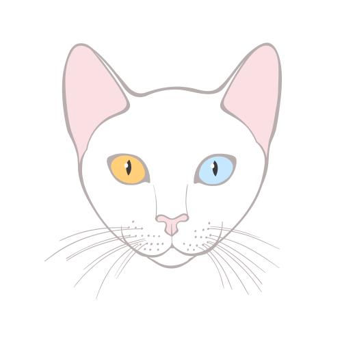 Cao mani. Vector kao-mani cat, cute face on white