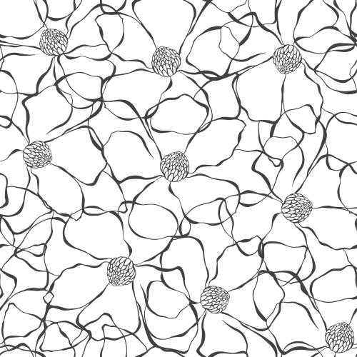 Magnolia. Vector magnolia flowers contours on white