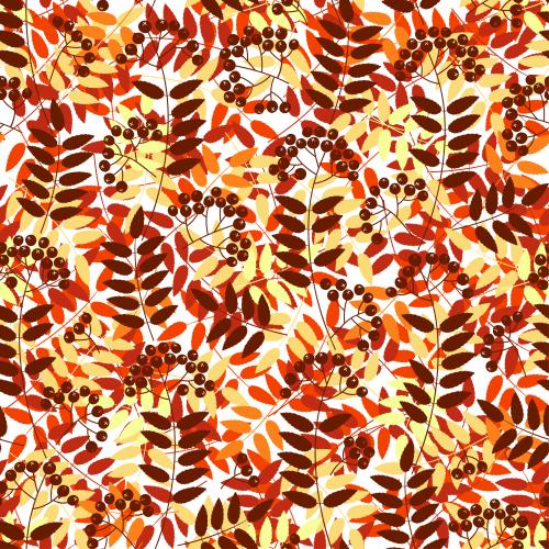 Vector image rowan twigs, leaves, berries on white