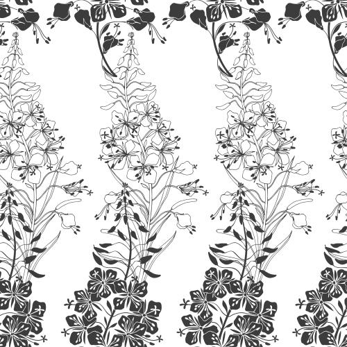 Fireweed. Vector mallow, ivan's tea, silhouettes and contours on white