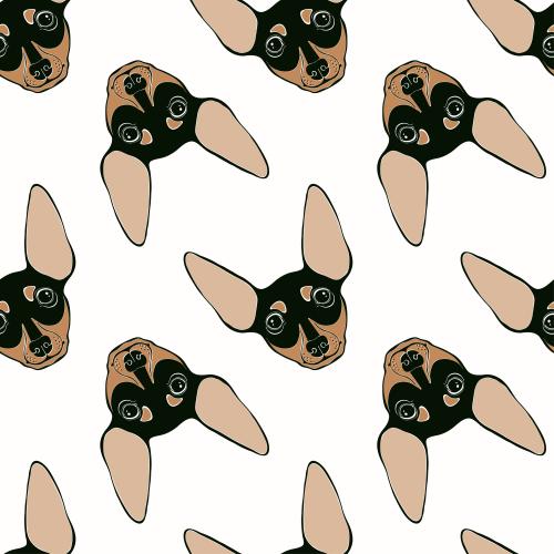 Dog. Vector cute pinscher faces on white