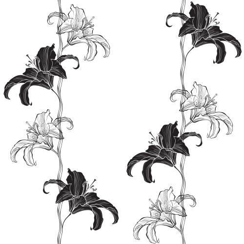 Lily. Vector lilies, contours and silhouettes of flowers, vertical wavy lines on white
