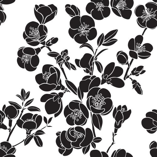 Japanese quince. Vector japanese loquat, silhouettes on white