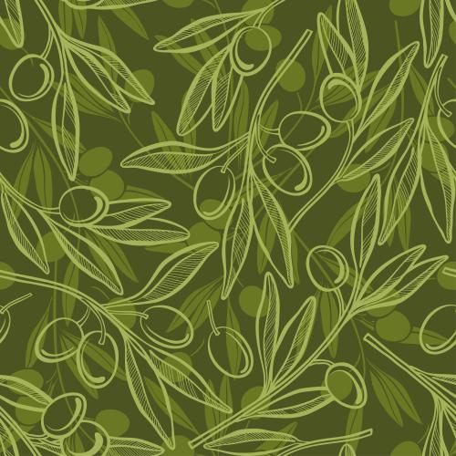 Olivaceous. Vector olive branches with leaves and fruits, contours and silhouettes on green