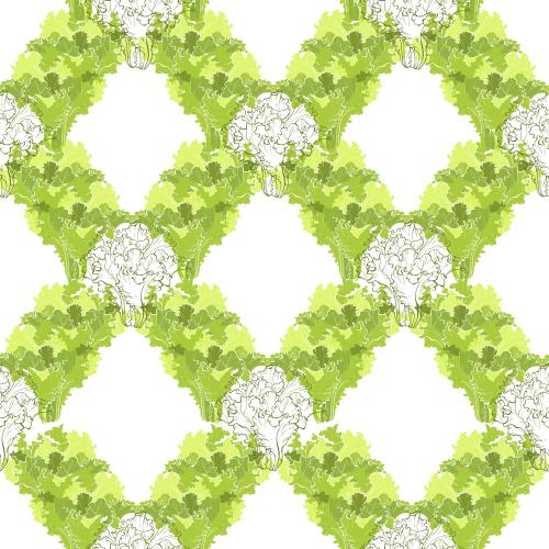 Salad. Vector salad, colorful silhouettes and outlines of leaves on white
