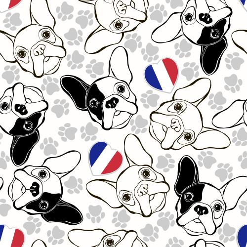 Animals. Vector heads of a french bulldog, paw prints, french flag in the shape of a heart on white