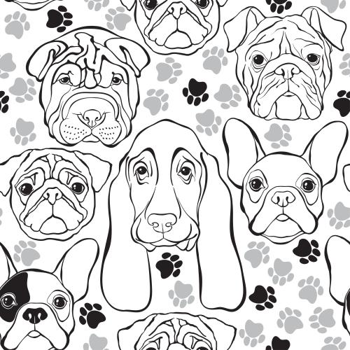 Dog. Vector contours of dog faces, paw prints on white
