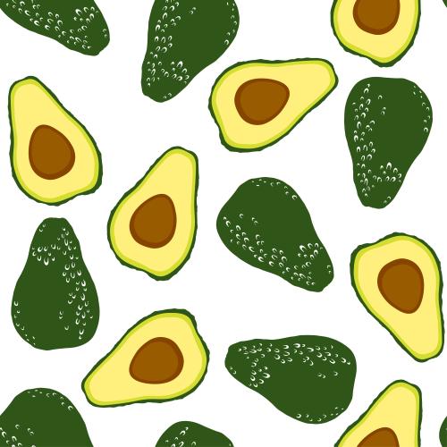 Avocado. Vector avocado whole fruits and halves on white