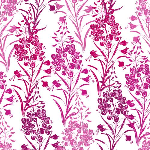 Fireweed. Vector common mallow, ivan's tea, pink silhouettes on white