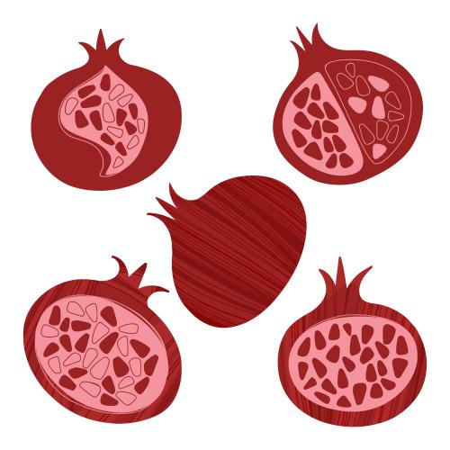 Pomegranate. Vector stylized pomegranates on white, various options