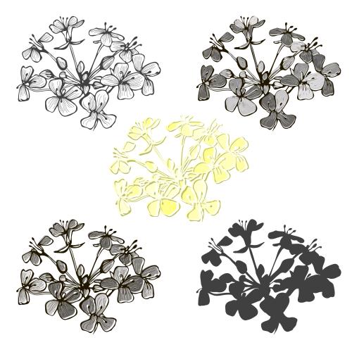 Vector image abstract field flowers, five isolated variants on white