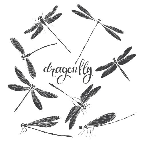 Dragonfly. Vector dragonflies black silhouettes on white various options