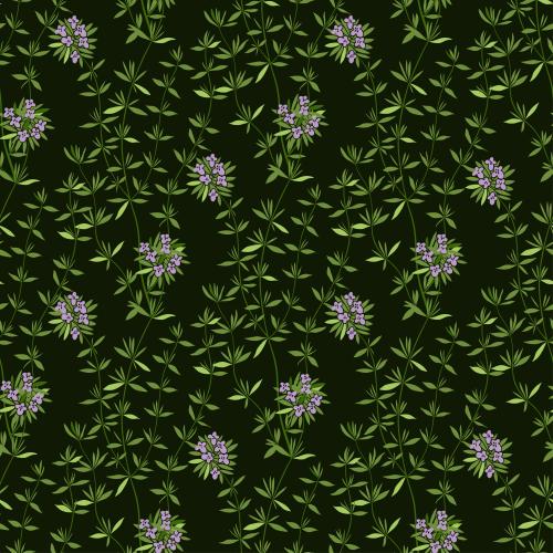 Thyme. Vector thyme on black