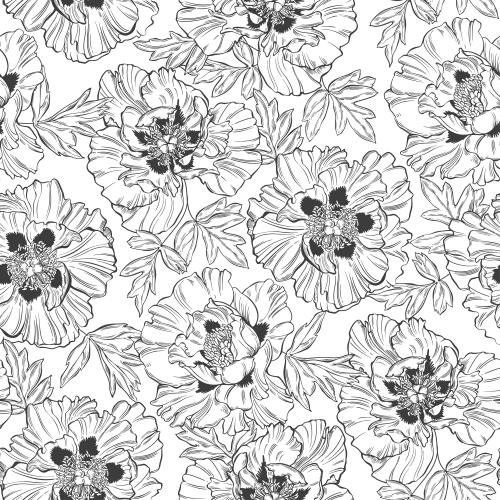 Vector image peonies contours of flowers and leaves on white