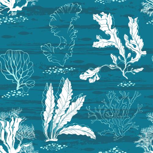Seaweed. Vector sea algae corals fish on textured blue