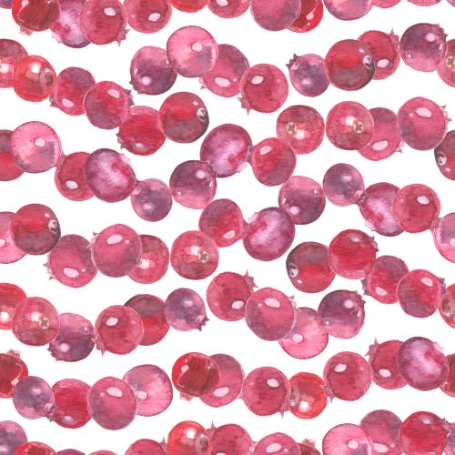 Raster image watercolor cranberry berries on white
