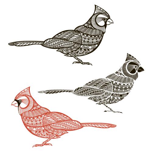Northern cardinal. Vector red cardinal bird, three options on white