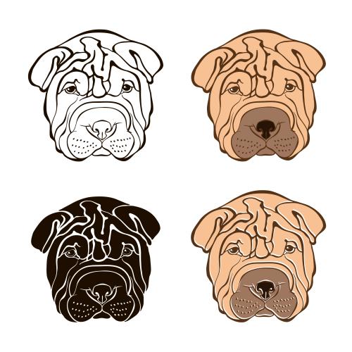 Sharpei. Vector sharpey heads, four different options on white