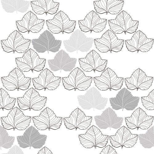 Vector image monochrome abstract leaves, contours and silhouettes on white
