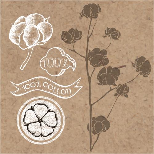 Cotton. Vector cotton, small box, branch with small boxes, elements for design on kraft