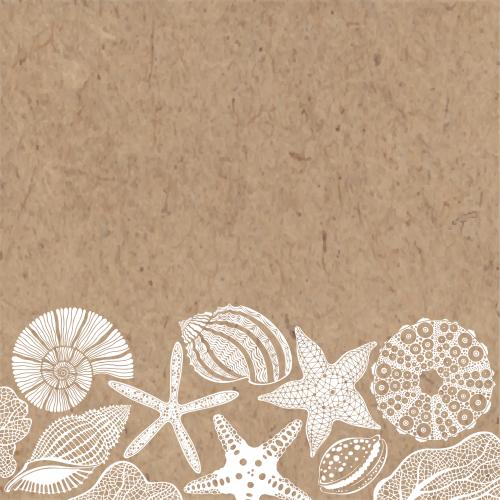 Vector image sea stars shells nautilus sea urchin corals place for text on craft