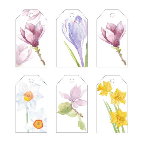 Raster image tags with watercolor flowers on white
