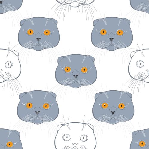 Scottish fold. Vector scottish droopy-eared kittens, colorful cute faces on white