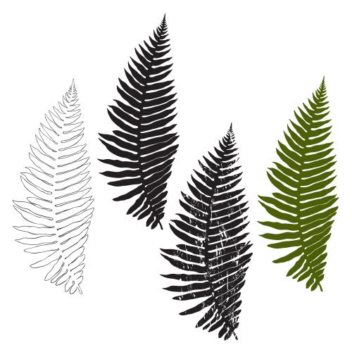 Vector image colored and black silhouettes on white contour ferns