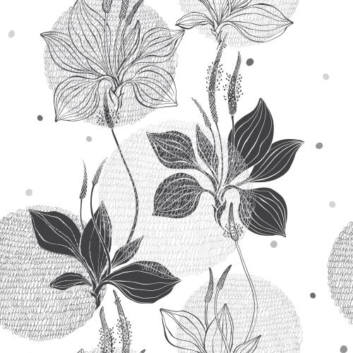 Plantain. Vector plantain black outlines and silhouettes monochrome lace circles on white