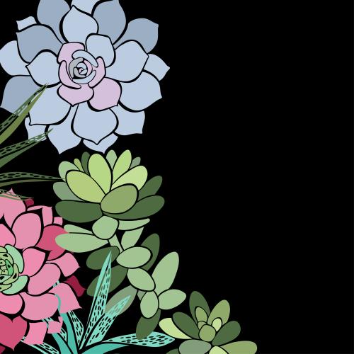 Succulent. Vector succulents, place for text on black